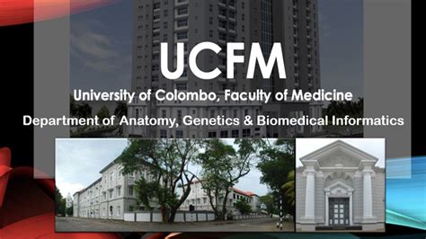 webmail uoc|Faculty of Medicine .